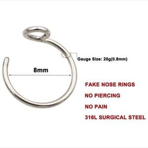 NWOT *FAKE* Nose Ring